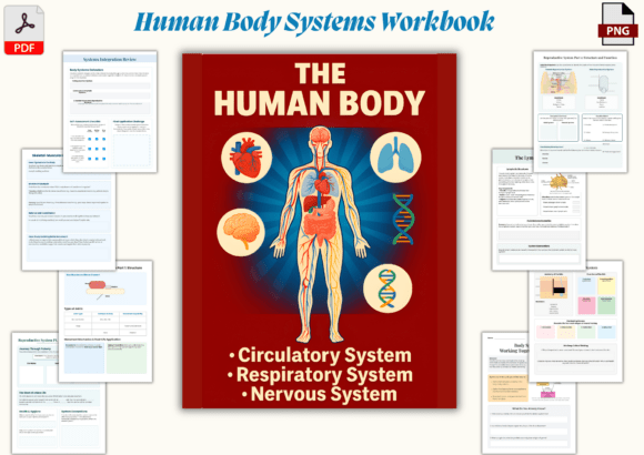 Human Body Systems Workbook